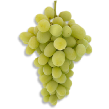 Princess Seedless Grape